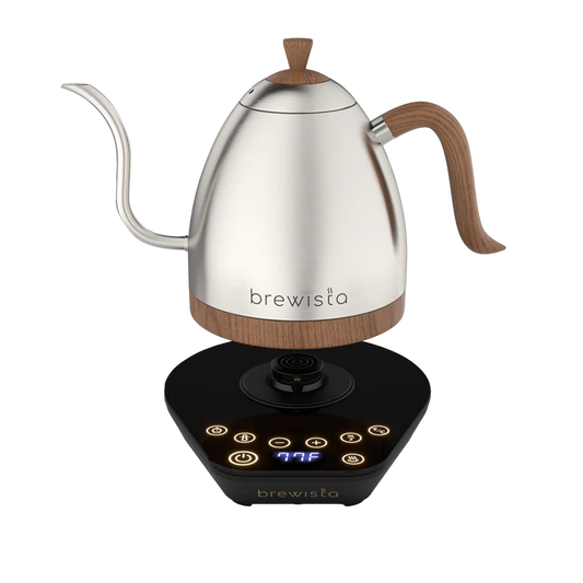 Brewista Artisan Gooseneck Kettle - Stainless Steel